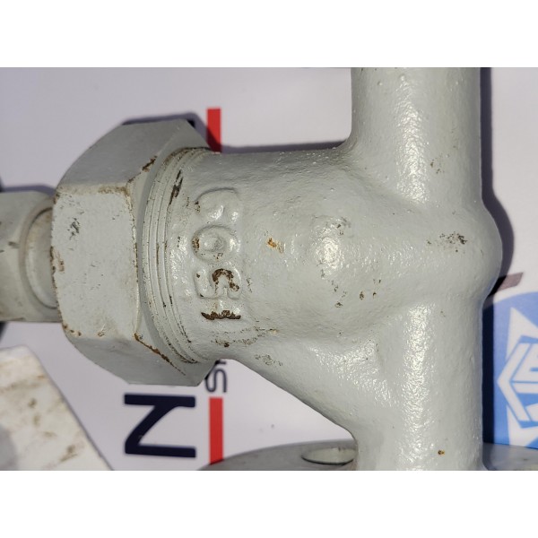 Globe Valve