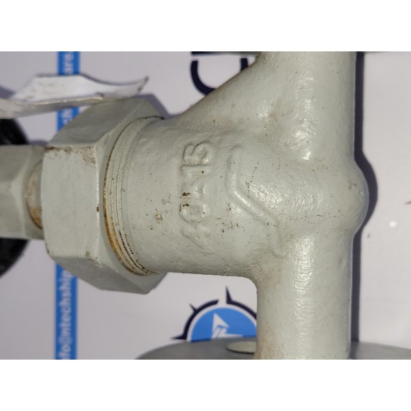 Globe Valve