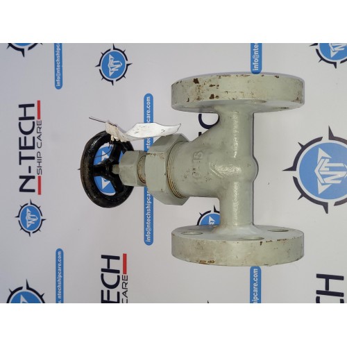 Globe Valve